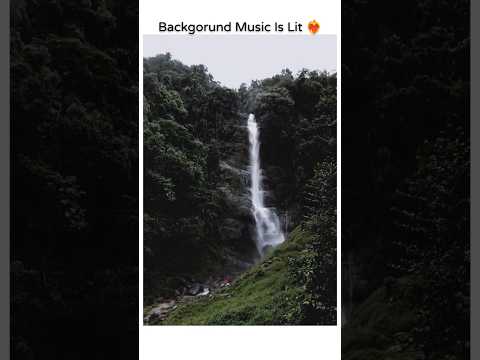 Dheevara | Yogesh, Jiban, Bibek x stillvaibhav
