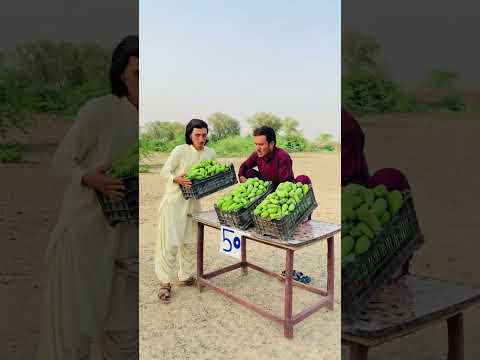 Mango Price Cuts😂