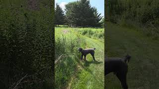 July 12, 2026, golf weather report from Minnesota #golf #weather  #minnesota #meadow