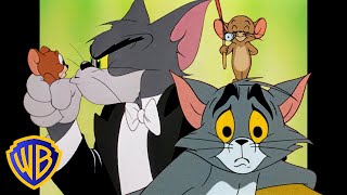 Tom i Jerry po polsku 🇵🇱 | Wasi ulubieni rywale ❤️ | @WBKidsInternational