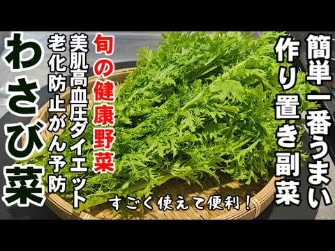 食材ひとつでやべぇ旨さ！簡単で一番おいしい旬のわさび菜漬け 健康 作り置き 常備菜  副菜 レシピ 美容 美肌 高血圧 糖尿病 がん予防 ダイエット 節約レシピ