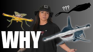 The Evolution of the Hammerhead (sharks & more!)