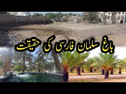 Hazrat Sulman Farsi ka bagh |Madina historical places |Madina old place |Madina ki ziarten #madina