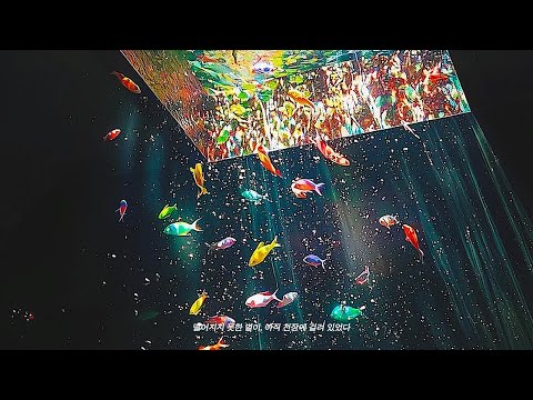 Playlistㅣ별은 추락하지 않았다