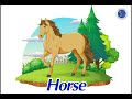 Câu hỏi về sở thích và phủ định