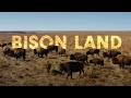Bison and Prairie Ecosystem Management