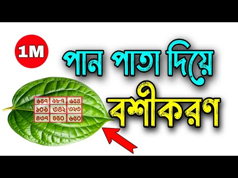 পান পাতা দিয়ে বশীকরণ | পান দিয়ে বশীকরণ | দূর থেকে বশীকরণ | বৌদি বশীকরণ | প্রেমিকা বশীকরণ | বশীকরণ