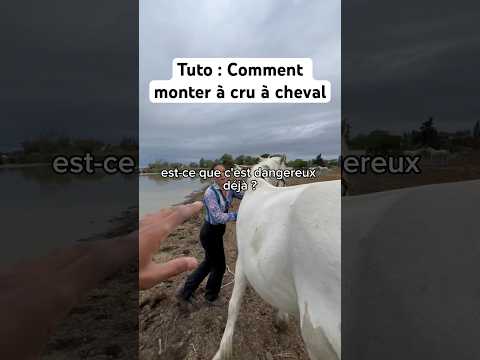 Comment monter à cru sur ton cheval cette vidéo est faite pour toi #cheval #chevalpassion #camargue