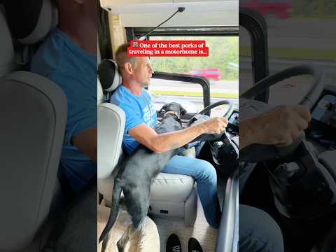 This is why you should never drive behind a motorhome 🤣 #rvlife #travel