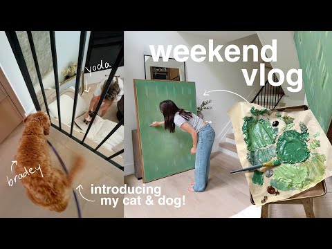 a weekend of crafting & self care (+ introducing my cat to my dog!)