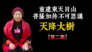 需要木材建大殿，天降大樹，缺什麽來什麽，只有你想不到的，佛菩薩沒有辦不到的（第二集）重建東天目山神奇感應故事 #齊素萍居士講述