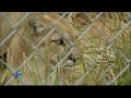 Wildlife Conservation and Education Insights