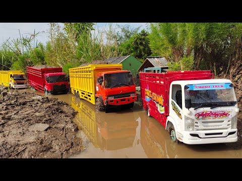 Woow..!! Muatan Berat Mobil Truk Tronton Rc Hino 500 Fuso 220ps Oleng Isuzu Giga, Ud Quester Dump