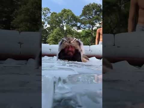 ๐ง 36 degrees is starting to feel a little too comfortable for Liver King...