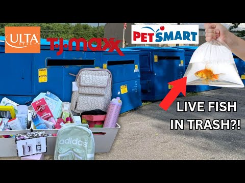 I Found A HUGE Score While DUMPSTER DIVING At Retail Stores!!! + LIVE FISH IN THE TRASH?!