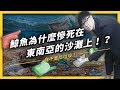 Plastic Waste Management in Southeast Asia
