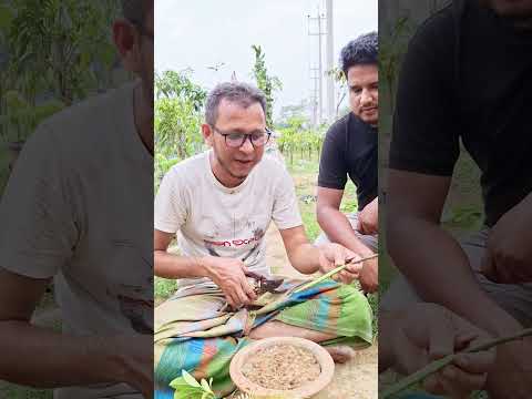জাকির এর সাথে আপনারা শিখে নেন #shorts #shortvideo #reels #viralshorts
