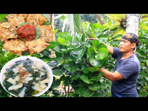 Sayur sederhana pedesaan village traditional foods beningan daun mangkokan bakwan jengkol