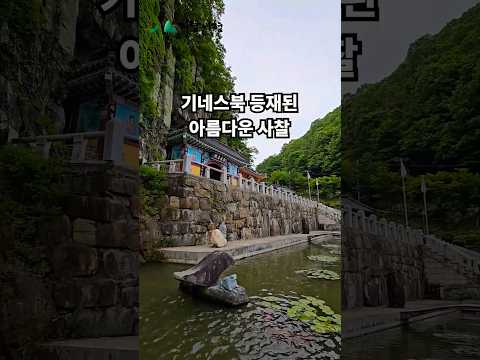 기네스북에 등재된 아름다운 사찰 #일붕사