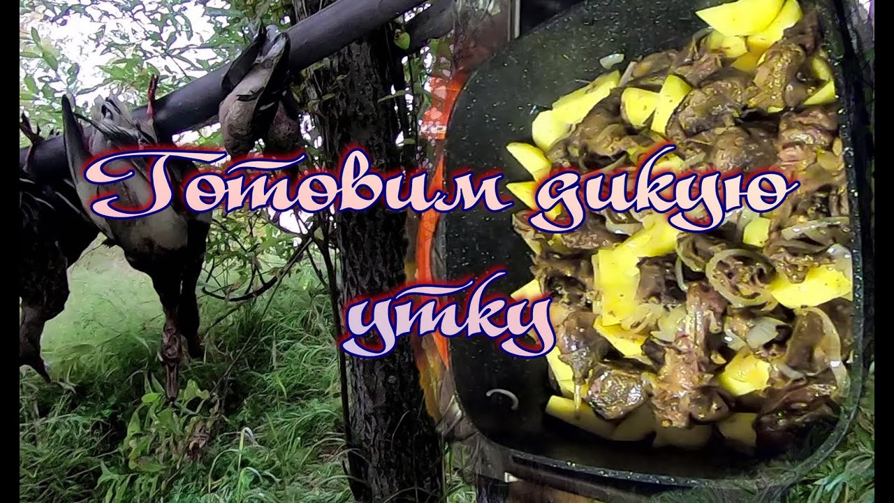 Готовим дикую утку