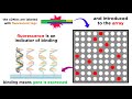 DNA Microarray and RT-PCR Concepts
