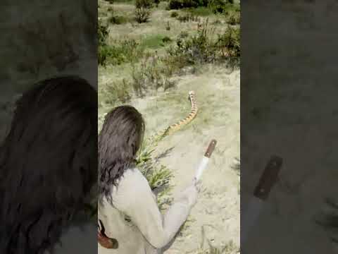 Great Survival Skills vid176