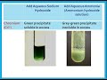 Testing for Ions and Precipitates
