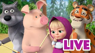 מאשה והדוב 👱‍♀️🐻 בוקר אחד שקט... ☕️🌺 ילדים קריקטורות 🔴 LIVE ⭐️