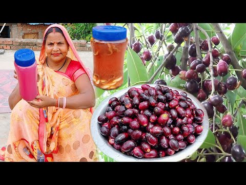 सिर्फ 5 दिन मे जामुन का अमृत सिरका बनाने की आसान विधि | Blackberry Vinegar recipe | jamun ka sirka