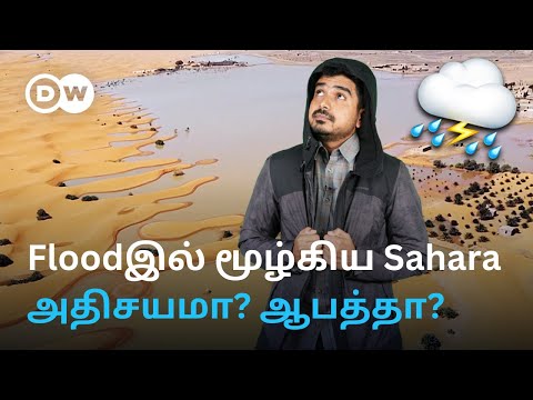 Sahara Desertஇல் 50 ஆண்டுகளில் இல்லாத Flood - ஒரே நாளில் தலைகீழான நிலை  மனிதர்களுக்கான எச்சரிக்கையா?