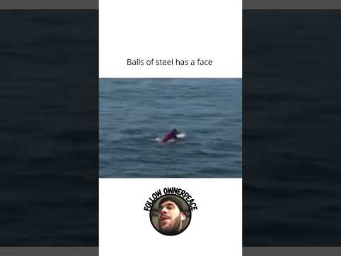 Riding Huge Waves with Sharks is Totally Insane #daily #facts #history #world #peace #shorts #surf