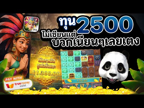 สล็อต สล็อตแตกง่าย สล็อตpg สล็อตเว็บตรง สล็อตวอเลท ปั่นสล็อต