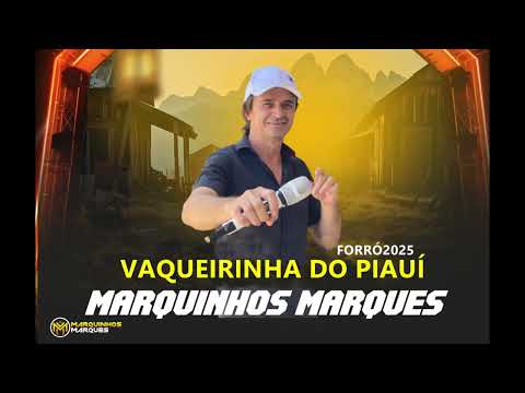 VAQUEIRINHA DO PIAUÍ - MARQUINHOS MARQUES SUCESSESO DO VIANA FORRÓ 2025