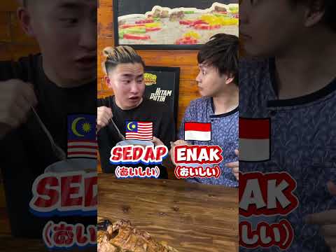 Bahasa Indonesia🇮🇩 VS Bahasa Malaysia🇲🇾