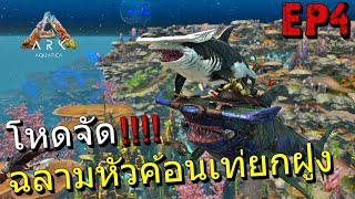 โหดจัด!!!! ฉลามหัวค้อนยกฝูงอย่างดุ ARK AQUATICA EP4