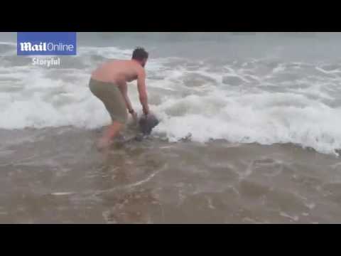Rough Week? Watch This Hot Shirtless Guy Rescue A Baby Dolphin!