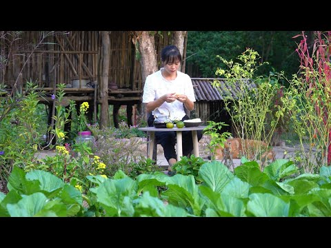 Green Garden on the Mountain: Caring for the Corn and Sweet Potato Crops from Planting