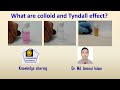 Colloids and Their Properties