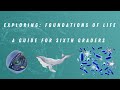 Biology Concepts and Processes