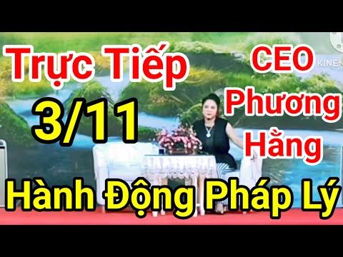 🔴 Trực Tiếp Ceo Nguyễn Phương Hằng Livestream Chia Sẻ Lời Ruột Gan Hành Động Pháp Lý? Luật Sư Vlogs