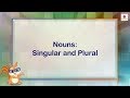 Exploring Singular and Plural Nouns in English