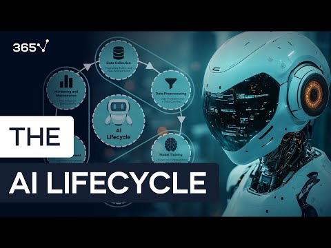 The AI Lifecycle: From Data Collection to Model Application