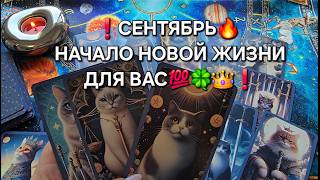 ❗В СЕНТЯБРЕ🔥 У ВАС НАЧНЕТСЯ НОВАЯ ЖИЗНЬ💯👑🍀❗ Таро расклад🧿 гадание онлайн