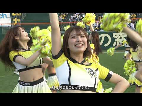 【TigersGirls密着】甲子園球場の華 #タイガースガールズ 球団とファンの架け橋として日々全力で球場を盛り上げる彼女たちの１年にに密着しました！