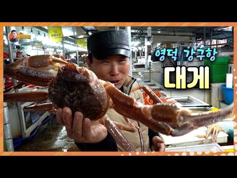 영덕에서 "대게와 한치회" 먹어보니 맛이 정말 달아유~