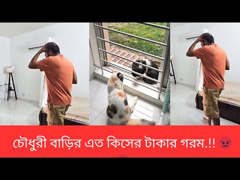 চৌধুরী বাড়ির এত কিসের টাকার গরম.!! 😡😡😡