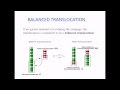 Chromosomal Abnormalities and Ploidy