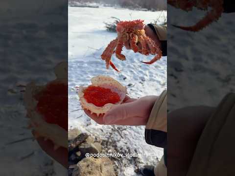 Сезон крабалки во Владивостоке начинается