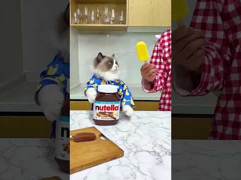 Soni Likes To Eat Chocolate Ice-cream with Mango 🥳🤣🥰