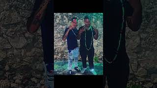 trinitario 💚🇩🇴